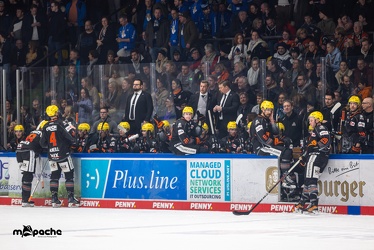 Löwen Frankfurt - Straubing Tigers- 19.1.24 - 115