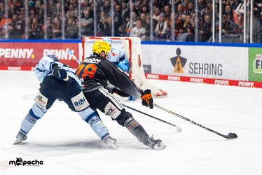 Löwen Frankfurt - Straubing Tigers- 19.1.24 - 118