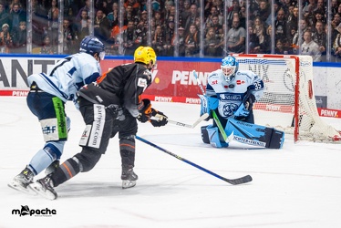 Löwen Frankfurt - Straubing Tigers- 19.1.24 - 119