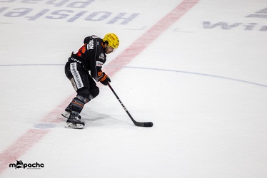Löwen Frankfurt - Straubing Tigers- 19.1.24 - 123