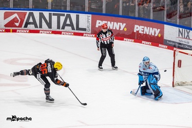 Löwen Frankfurt - Straubing Tigers- 19.1.24 - 124
