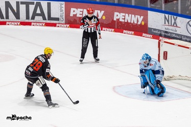Löwen Frankfurt - Straubing Tigers- 19.1.24 - 127