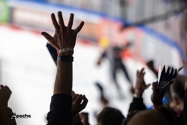 Löwen Frankfurt - Straubing Tigers- 19.1.24 - 132