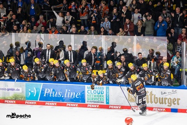 Löwen Frankfurt - Straubing Tigers- 19.1.24 - 133