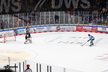 Löwen Frankfurt - Straubing Tigers- 19.1.24 - 136