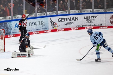 Löwen Frankfurt - Straubing Tigers- 19.1.24 - 137