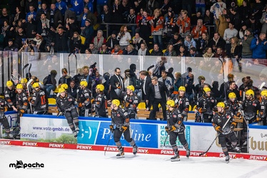 Löwen Frankfurt - Straubing Tigers- 19.1.24 - 138