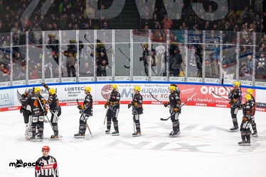 Löwen Frankfurt - Straubing Tigers- 19.1.24 - 139