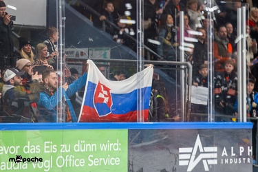Löwen Frankfurt - Straubing Tigers- 19.1.24 - 144