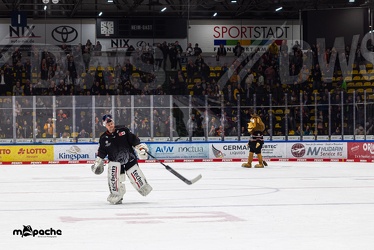 Löwen Frankfurt - Straubing Tigers- 19.1.24 - 149