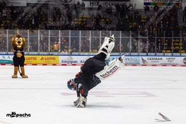 Löwen Frankfurt - Straubing Tigers- 19.1.24 - 150
