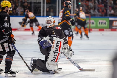 Löwen Frankfurt - Grizzlys Wolfsburg- 28.1.24 - 014