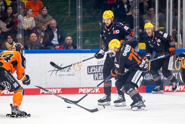 Löwen Frankfurt - Grizzlys Wolfsburg- 28.1.24 - 070