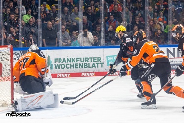 Löwen Frankfurt - Grizzlys Wolfsburg- 28.1.24 - 072