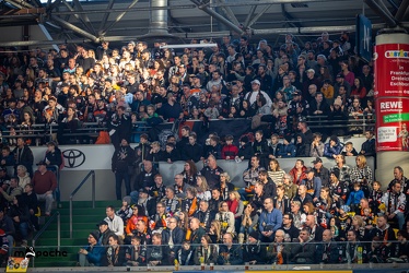 Löwen Frankfurt - Grizzlys Wolfsburg- 28.1.24 - 082