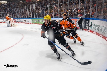 Löwen Frankfurt - Grizzlys Wolfsburg- 28.1.24 - 085