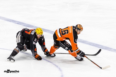 Löwen Frankfurt - Grizzlys Wolfsburg- 28.1.24 - 108