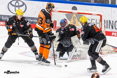 Löwen Frankfurt - Grizzlys Wolfsburg- 28.1.24 - 130
