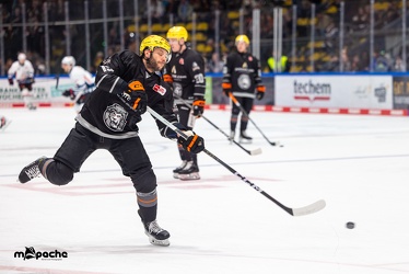 Löwen Frankfurt - Nürnberg Ice Tigers - 2.2.24 - 005