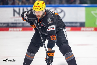 Löwen Frankfurt - Nürnberg Ice Tigers - 2.2.24 - 032