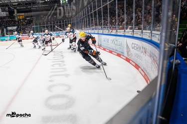 Löwen Frankfurt - Nürnberg Ice Tigers - 2.2.24 - 062