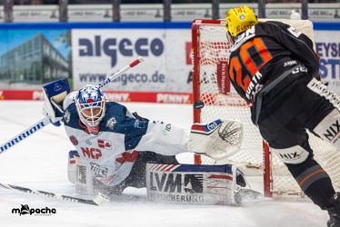 Löwen Frankfurt - Nürnberg Ice Tigers - 2.2.24 - 066