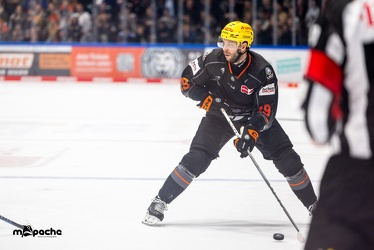 Löwen Frankfurt - Nürnberg Ice Tigers - 2.2.24 - 075