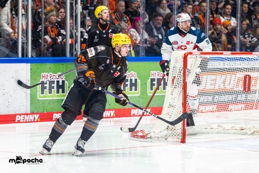 Löwen Frankfurt - Nürnberg Ice Tigers - 2.2.24 - 079