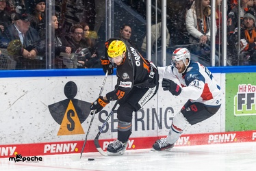 Löwen Frankfurt - Nürnberg Ice Tigers - 2.2.24 - 082