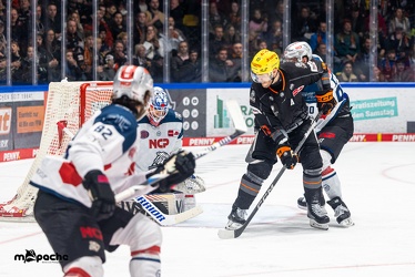 Löwen Frankfurt - Nürnberg Ice Tigers - 2.2.24 - 087