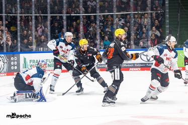 Löwen Frankfurt - Nürnberg Ice Tigers - 2.2.24 - 094