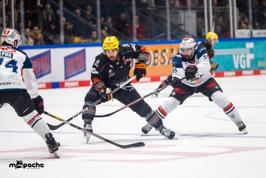 Löwen Frankfurt - Nürnberg Ice Tigers - 2.2.24 - 095