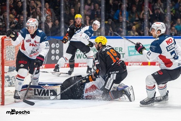Löwen Frankfurt - Nürnberg Ice Tigers - 2.2.24 - 098