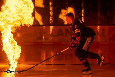 Löwen Frankfurt - Adler Mannheim -18.2.24 - 033