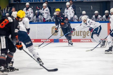 Löwen Frankfurt - Adler Mannheim -18.2.24 - 038