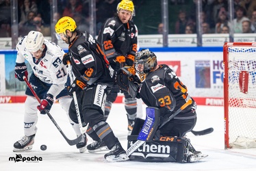 Löwen Frankfurt - Adler Mannheim -18.2.24 - 054
