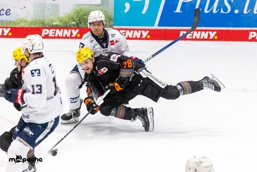 Löwen Frankfurt - Adler Mannheim -18.2.24 - 089