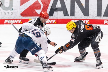 Löwen Frankfurt - Adler Mannheim -18.2.24 - 091