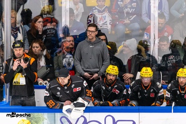 Löwen Frankfurt - Adler Mannheim -18.2.24 - 097