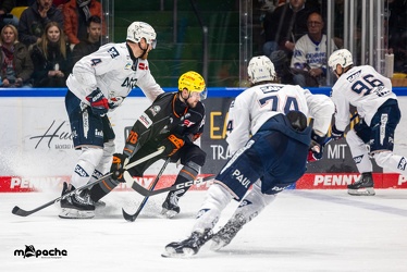 Löwen Frankfurt - Adler Mannheim -18.2.24 - 104