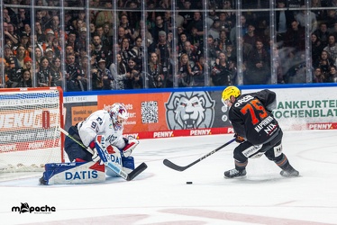 Löwen Frankfurt - Adler Mannheim -18.2.24 - 105
