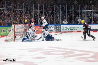 Löwen Frankfurt - Adler Mannheim -18.2.24 - 120