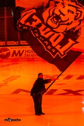 Löwen Frankfurt - Augsburger Panther -23.2.24 - 015