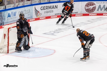 Löwen Frankfurt - Augsburger Panther -23.2.24 - 022