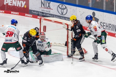 Löwen Frankfurt - Augsburger Panther -23.2.24 - 031