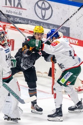 Löwen Frankfurt - Augsburger Panther -23.2.24 - 032
