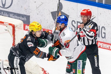 Löwen Frankfurt - Augsburger Panther -23.2.24 - 033