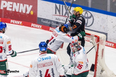 Löwen Frankfurt - Augsburger Panther -23.2.24 - 035