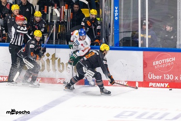 Löwen Frankfurt - Augsburger Panther -23.2.24 - 037