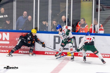 Löwen Frankfurt - Augsburger Panther -23.2.24 - 038
